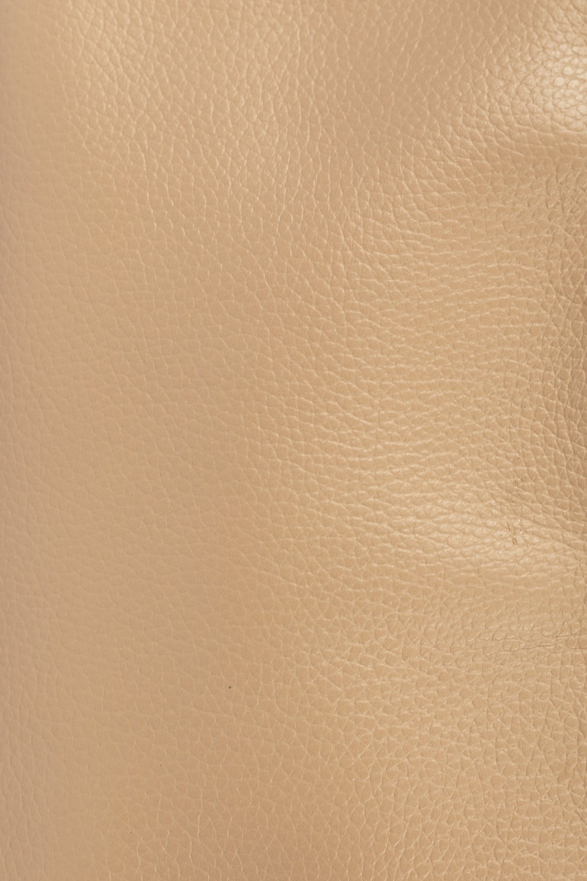 FIORELLA MINI BAG (BEIGE)