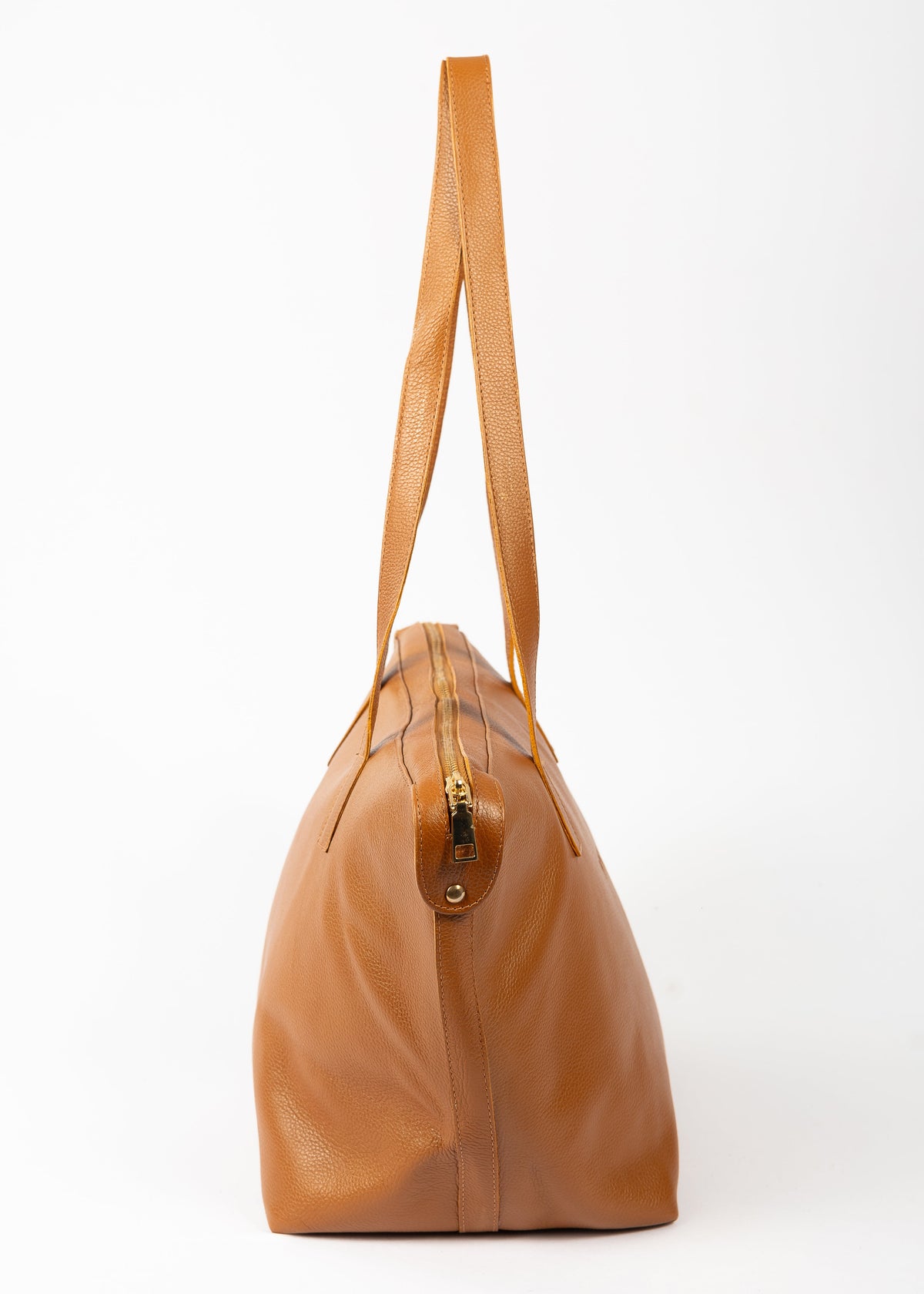 MAXIMILIANA (CAMEL)