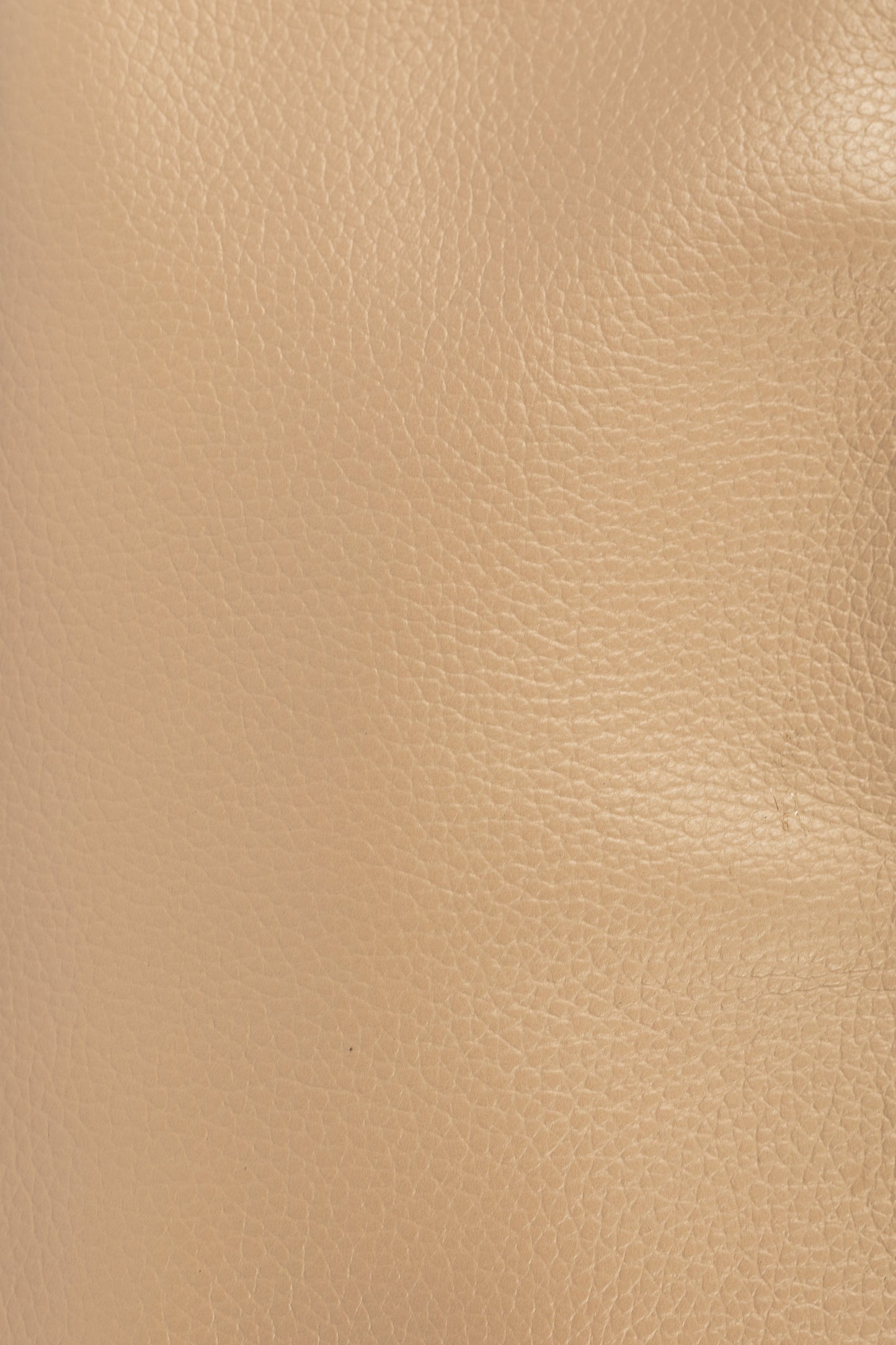 FIORELLA MINI BAG (BEIGE)