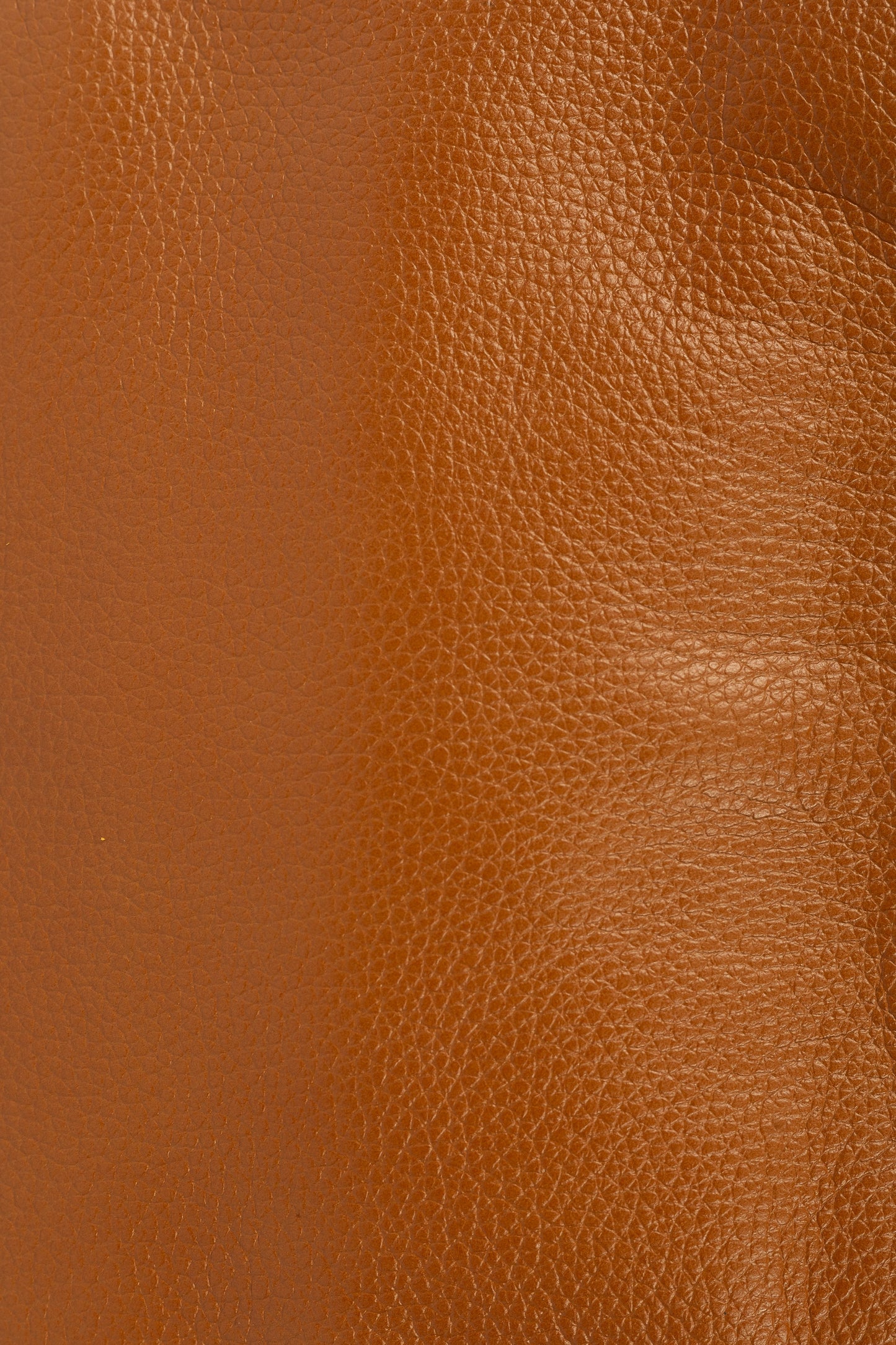 FIORELLA MINI BAG (CAMEL)